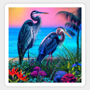 Great Blue Herons in The Caribbean Sticker